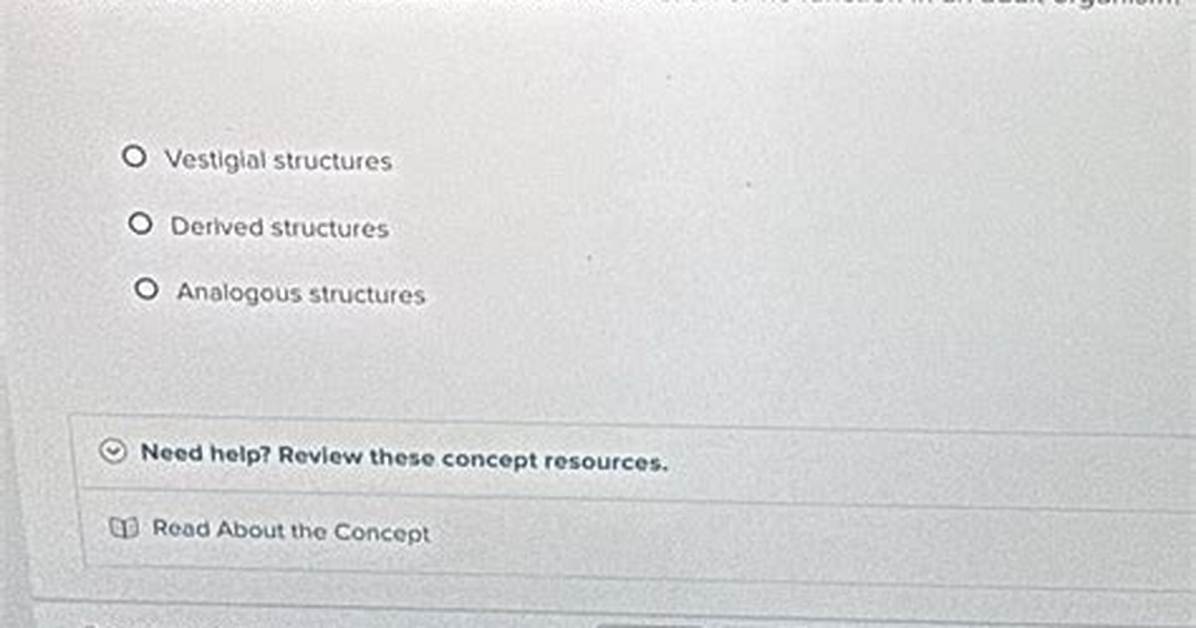 What Function Do These Structures Have
