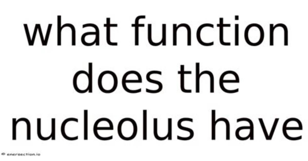 What Function Does the Nucleolus Have?