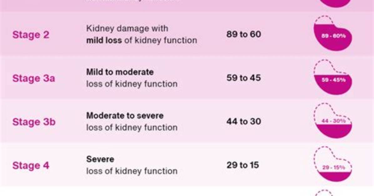 What Gfr Means