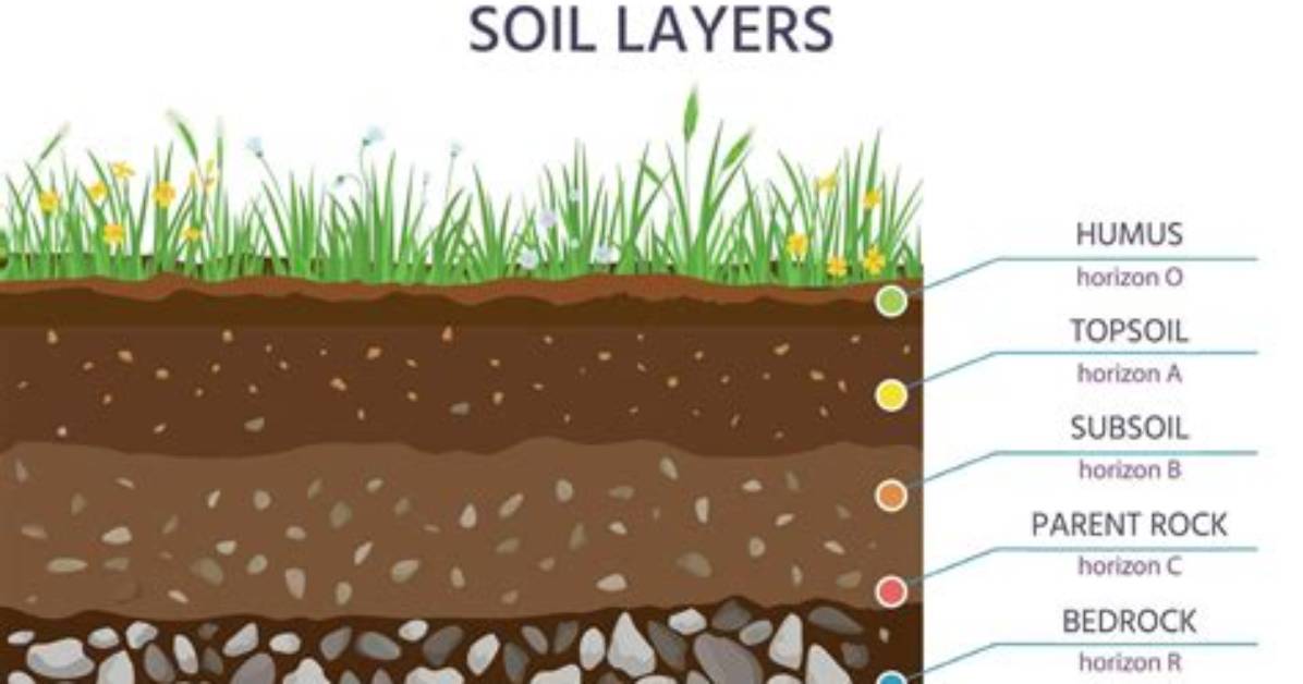 What Good Is Subsoil