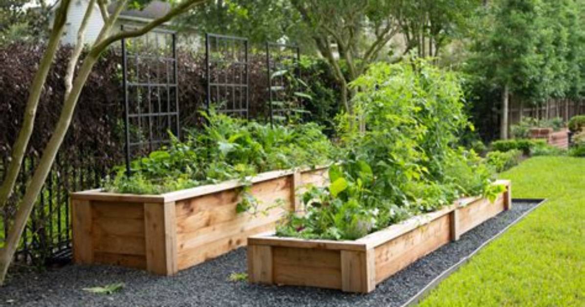 What Grows Well in Elevated Garden Beds?