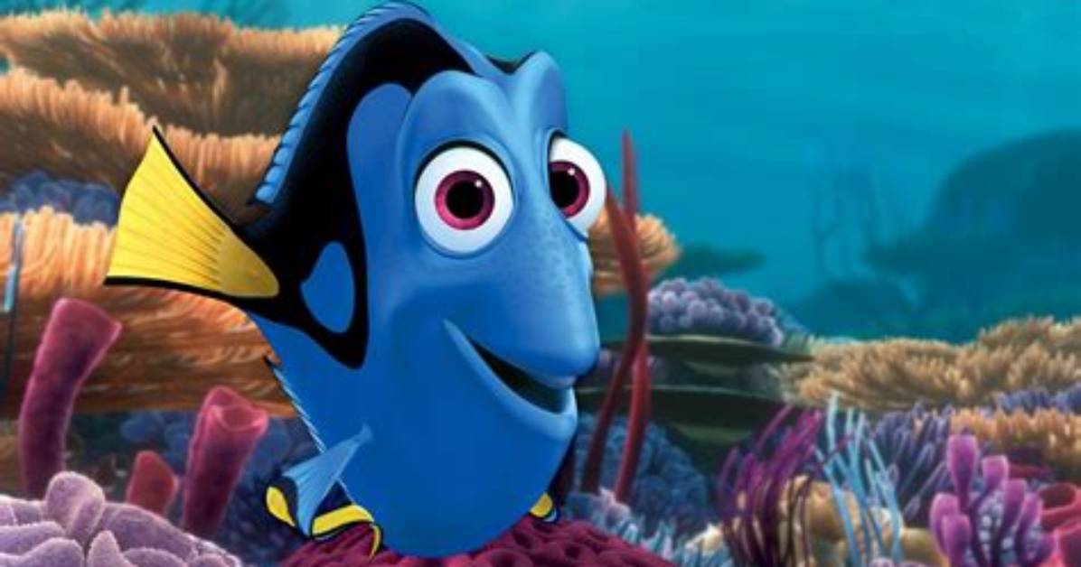What Happened Finding Dory