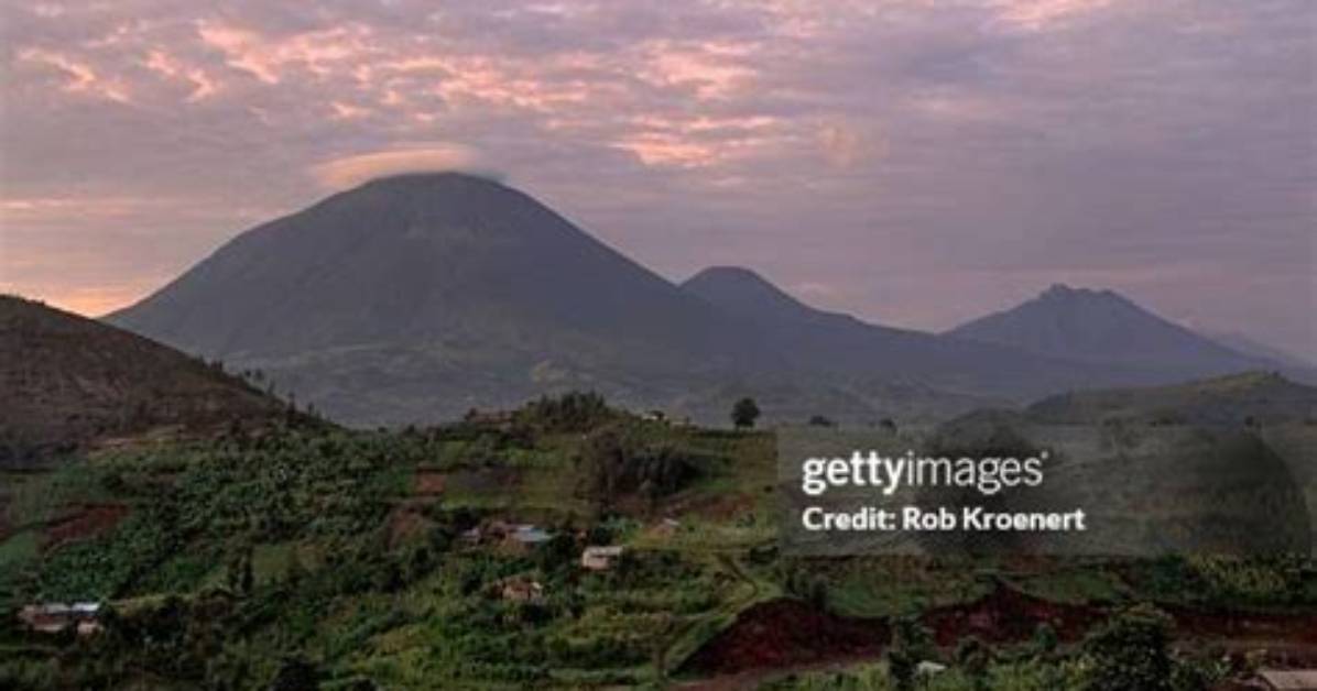 What Happened to Virunga