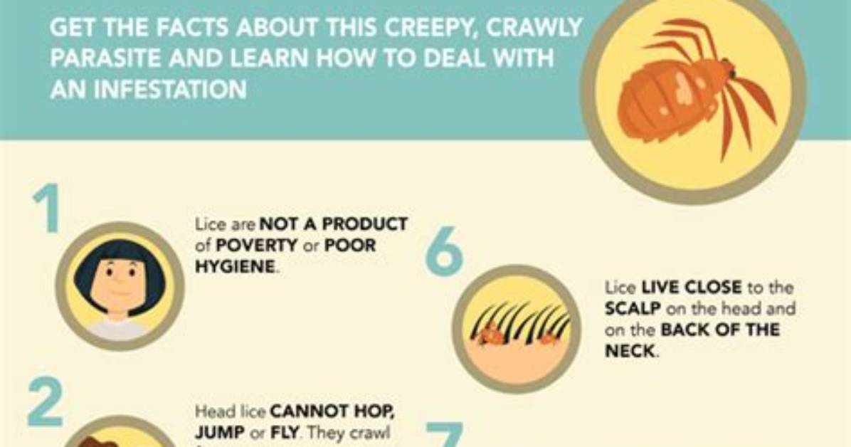 What Happens If You Leave Lice Treatment on Too Long