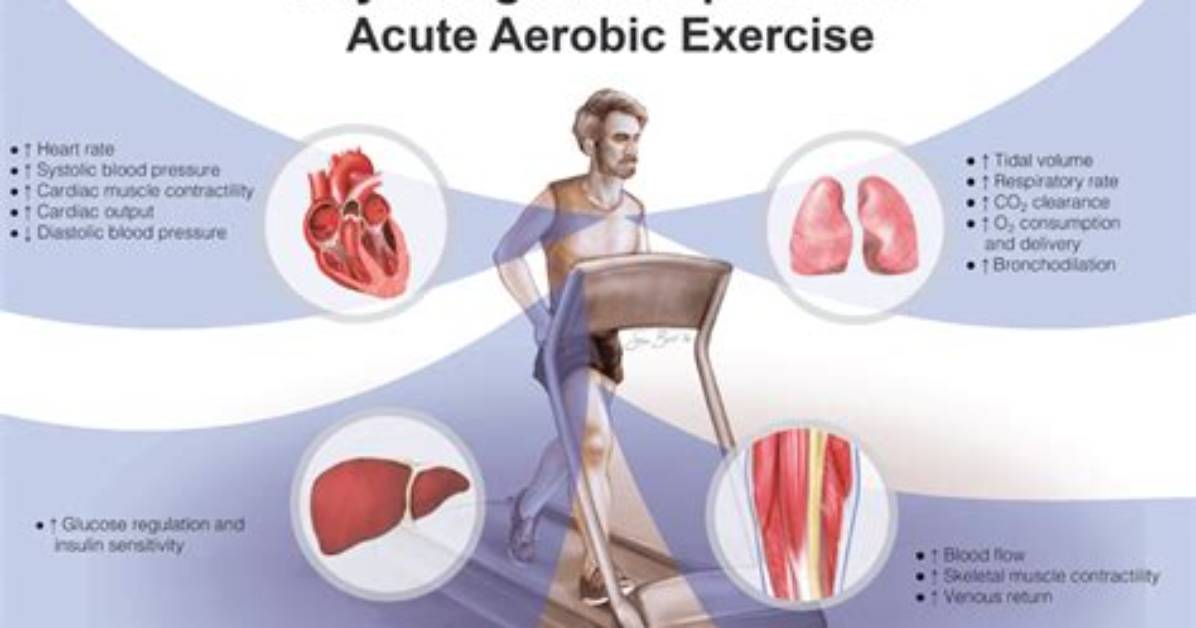 What Happens Physiologically During Exercise
