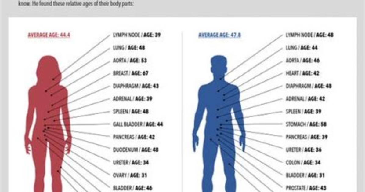 What Happens to Your Body at Age 70?