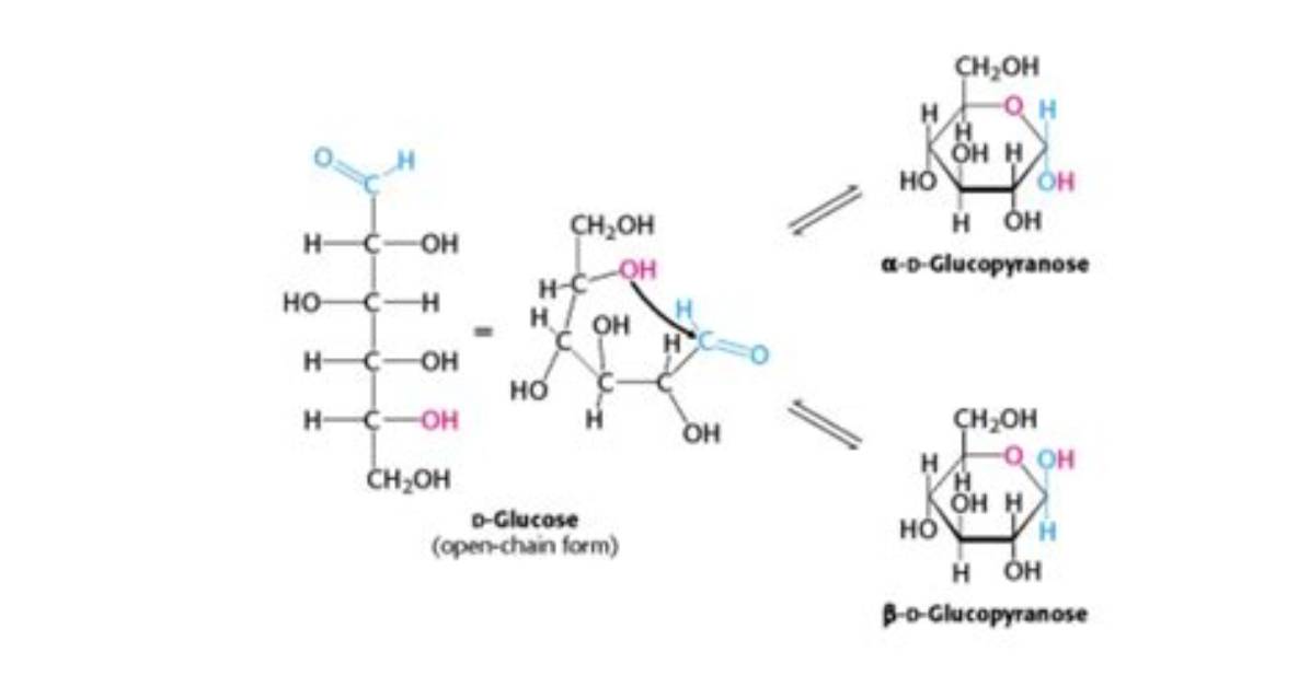 What Happens When Glucose Cyclizes?