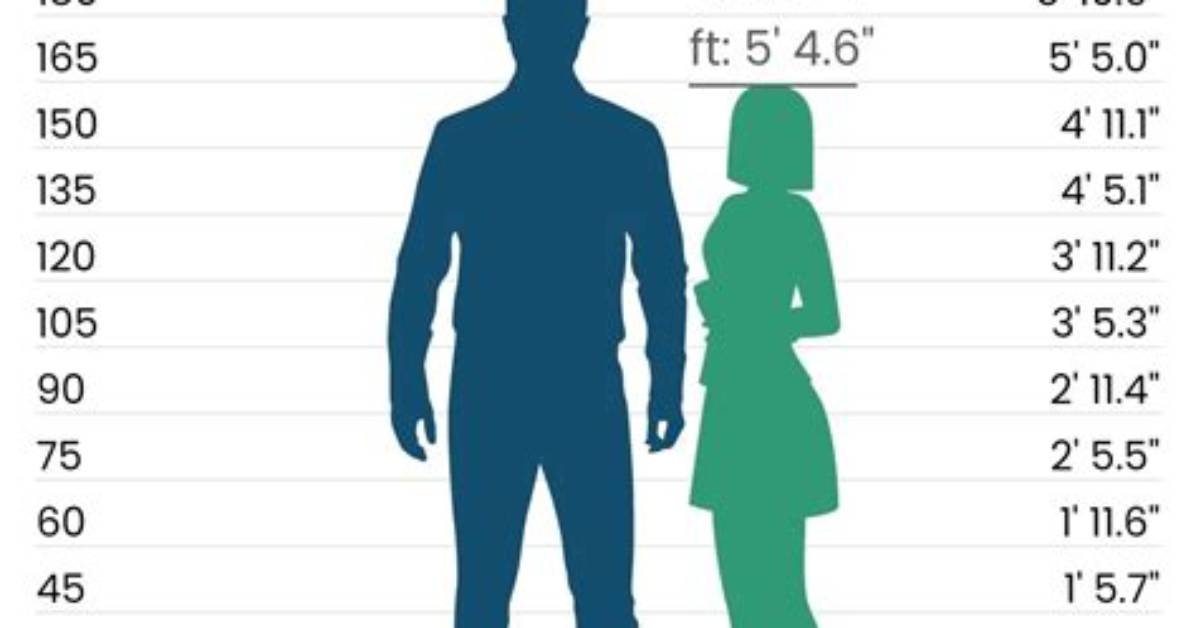 What Height Is 5Ft 9?