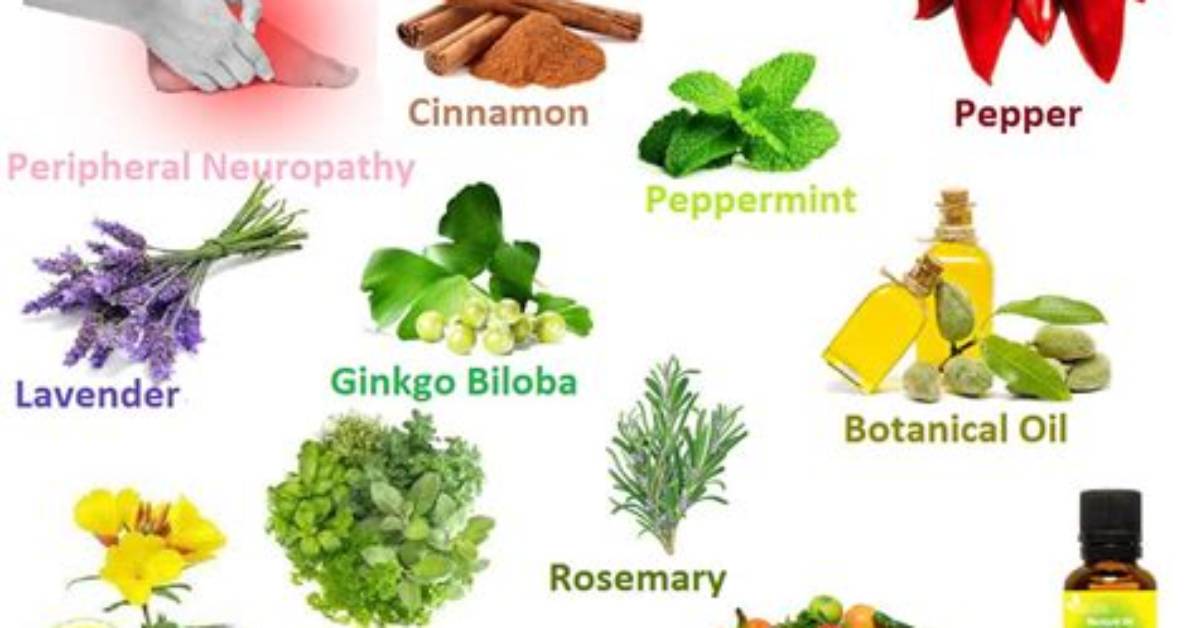 What Herbs Help Neuropathy?