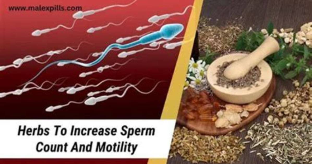 What Herbs Increase Sperm