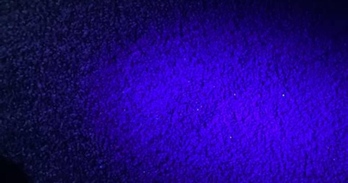 What Illuminates Under Black Light?