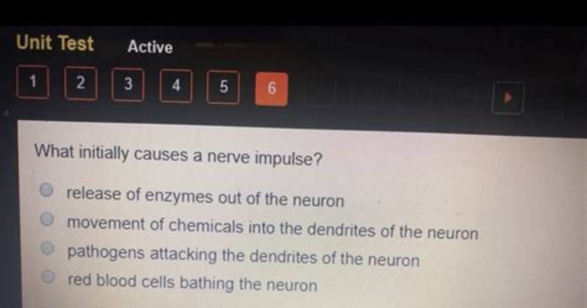 What Initially Causes a Nerve Impulse