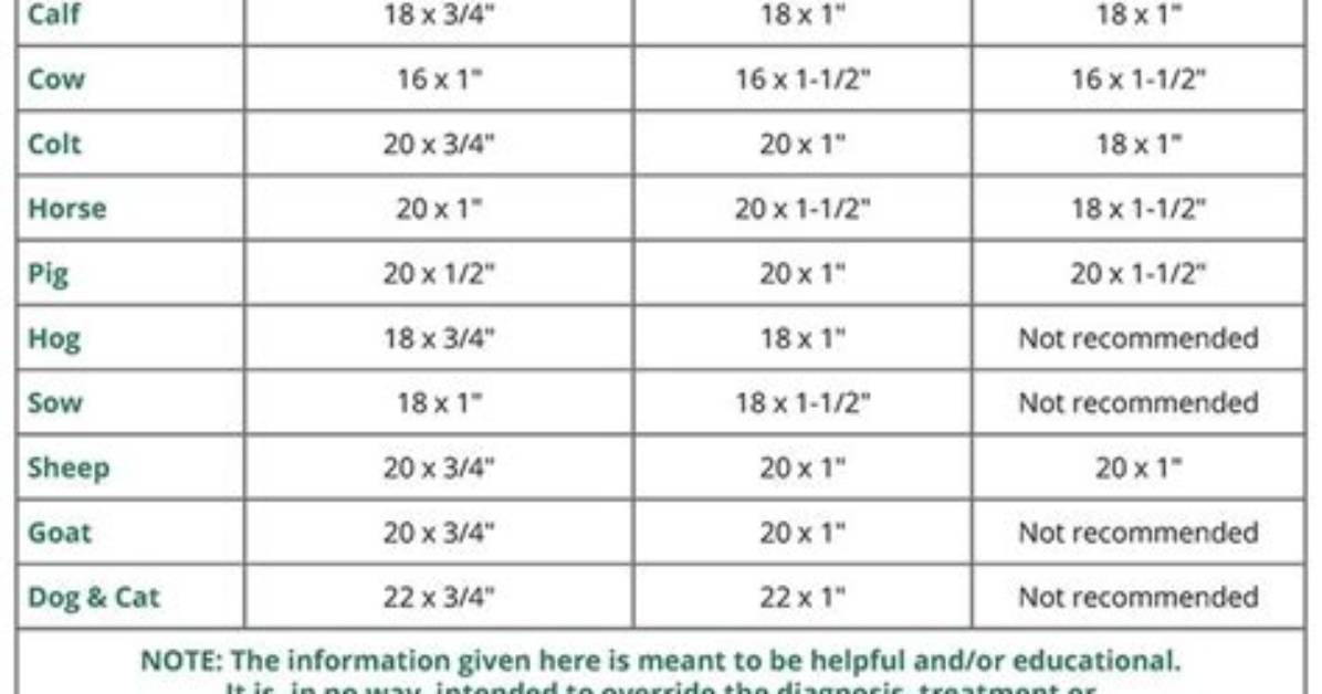 What Injections Do Pigs Need?