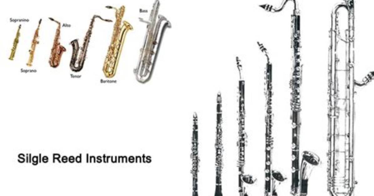 What Instruments Use a Single Reed