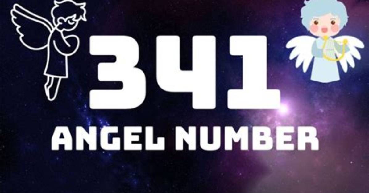 What Is a 341