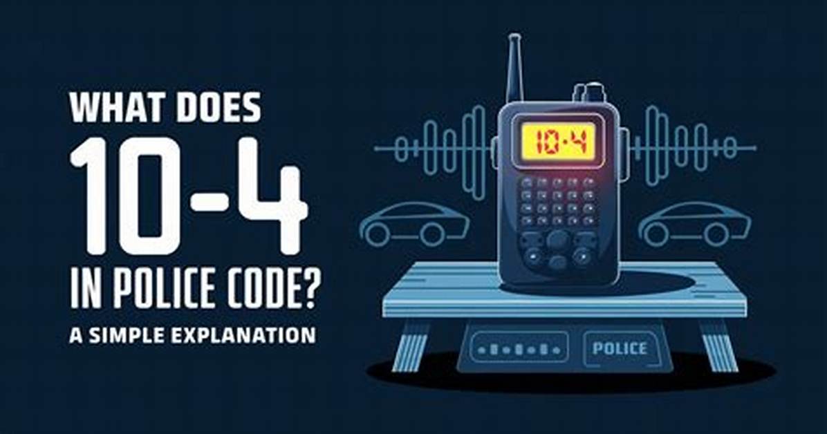 What Is a 404 Police Code