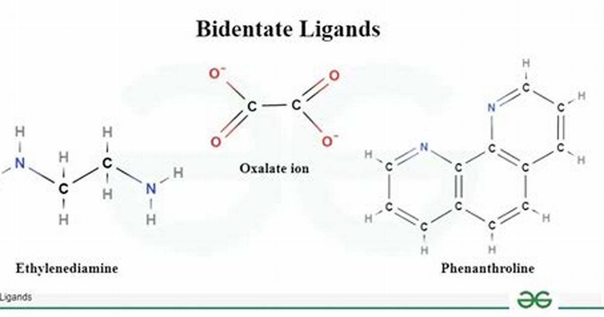What Is a Bidentate Ligand Example?