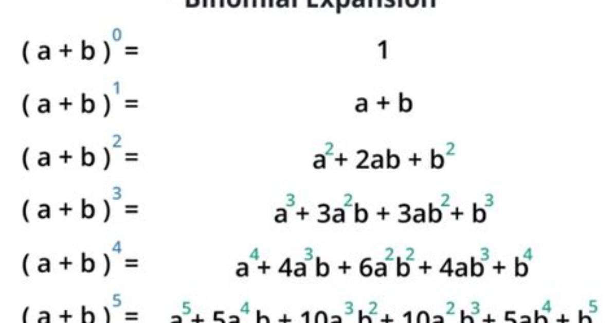 What Is a Binomial Expression Example?