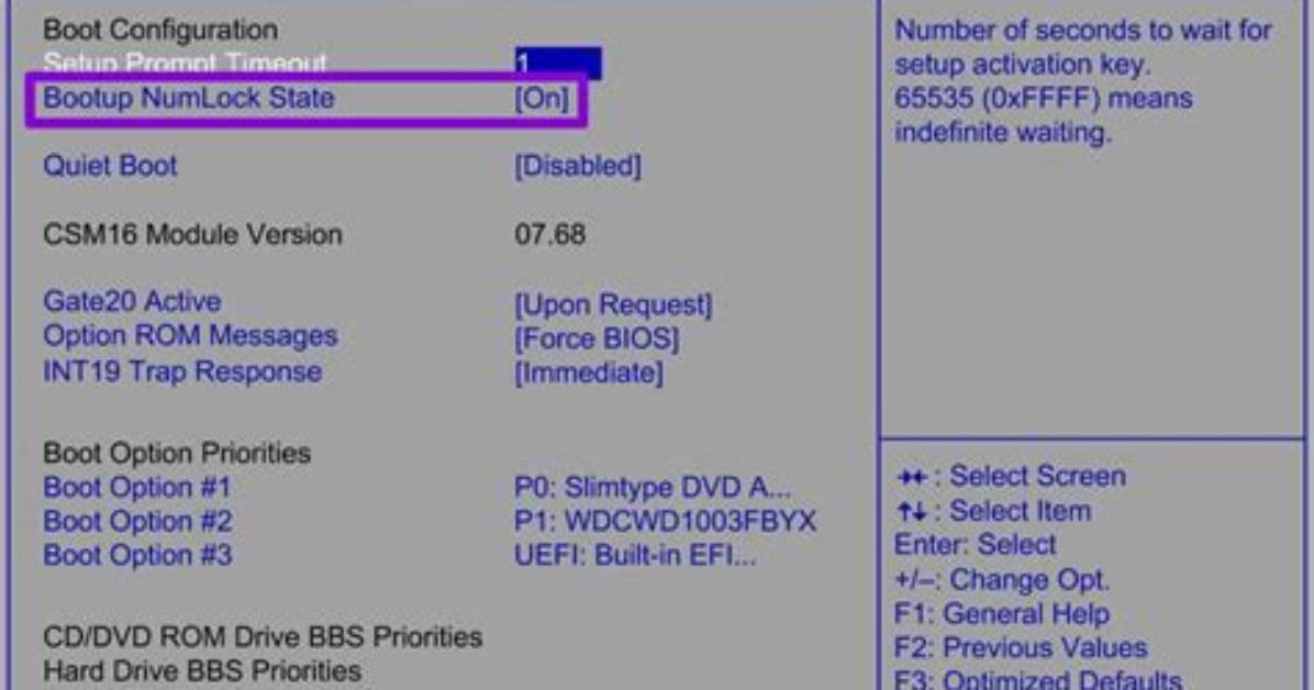 What Is a Bios Lock?