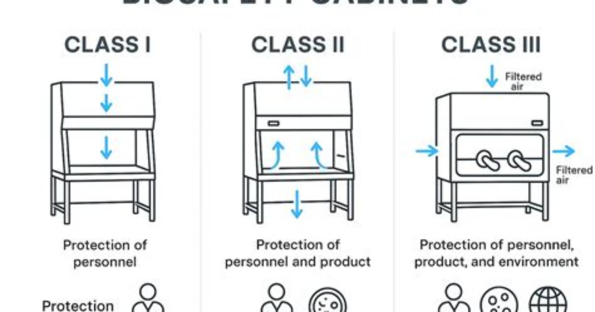 What Is a Biosafety Cabinet Used For