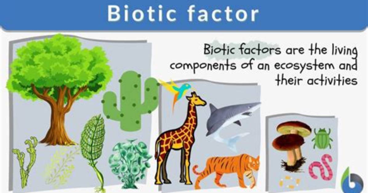 What Is a Biotic Factor That Affects Population Size