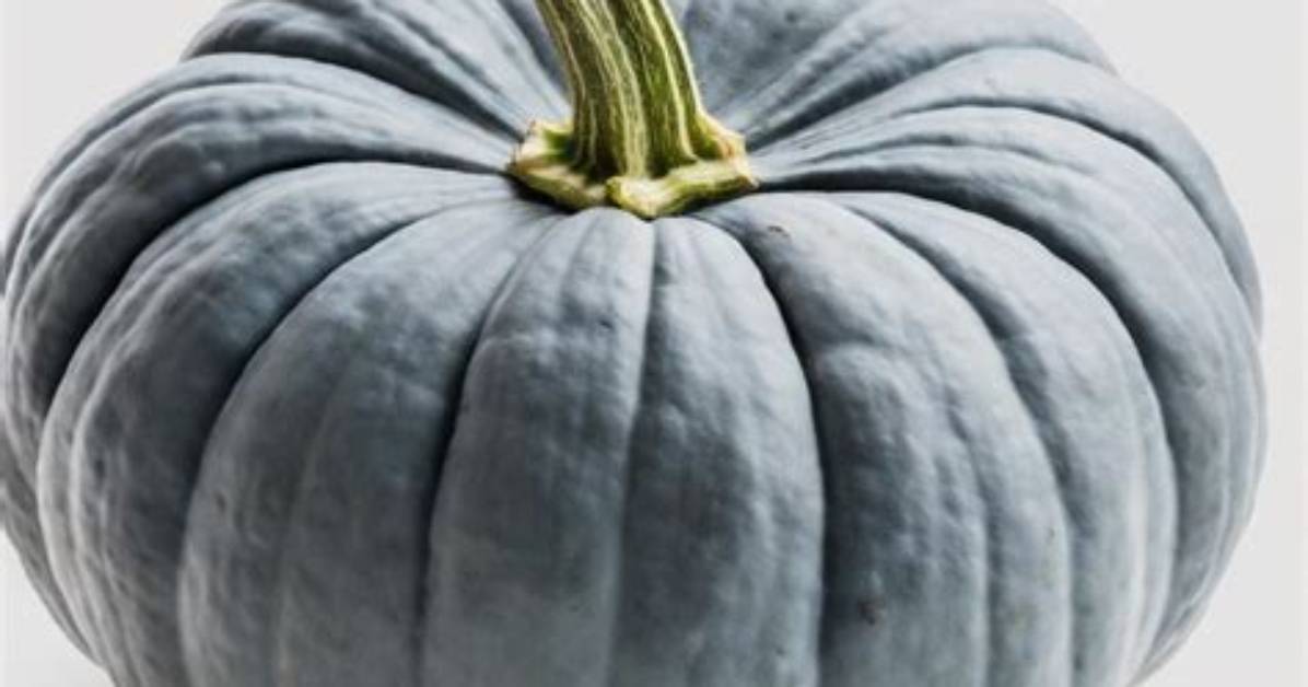 What Is a Blue Pumpkin
