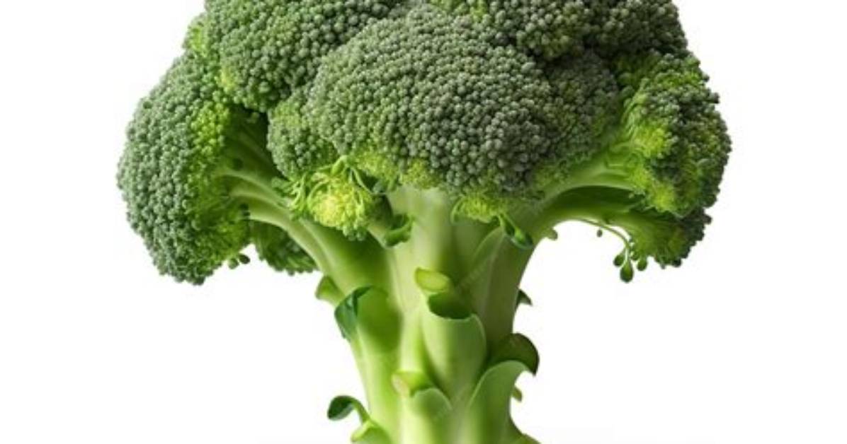 What Is a Broccoli Floret