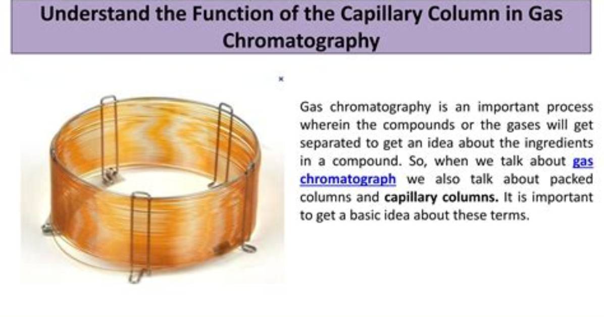 What Is a Capillary Column
