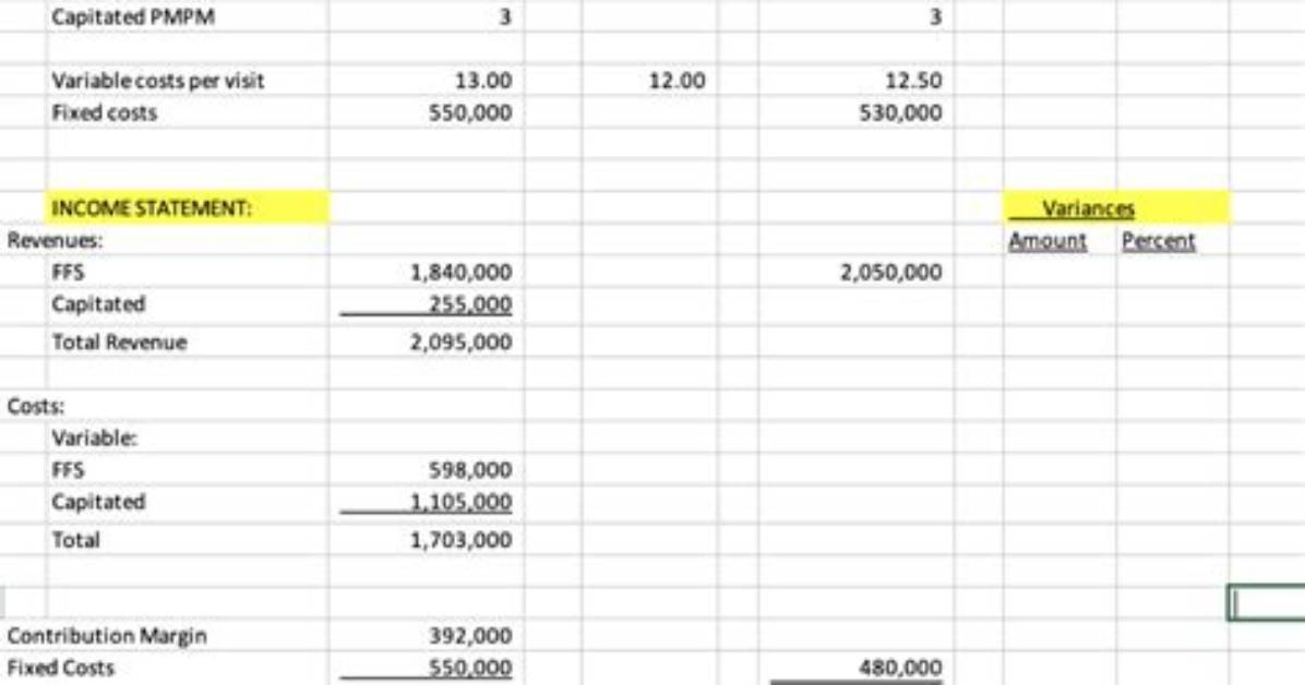 What Is a Capitated Budget