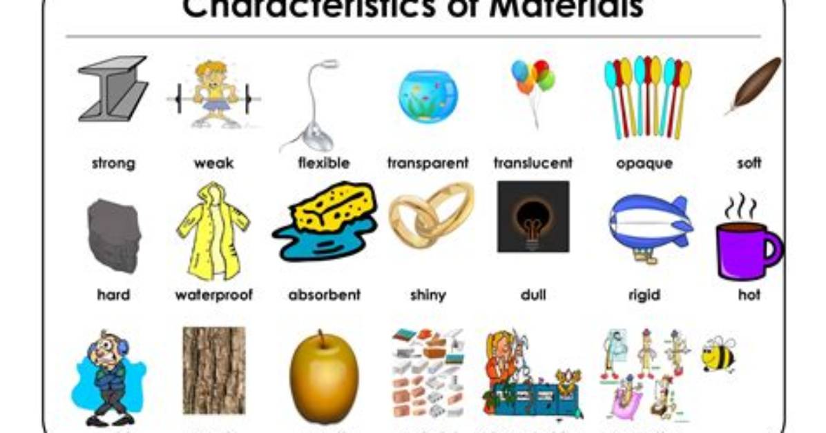 What Is a Characteristic of an Object Called?