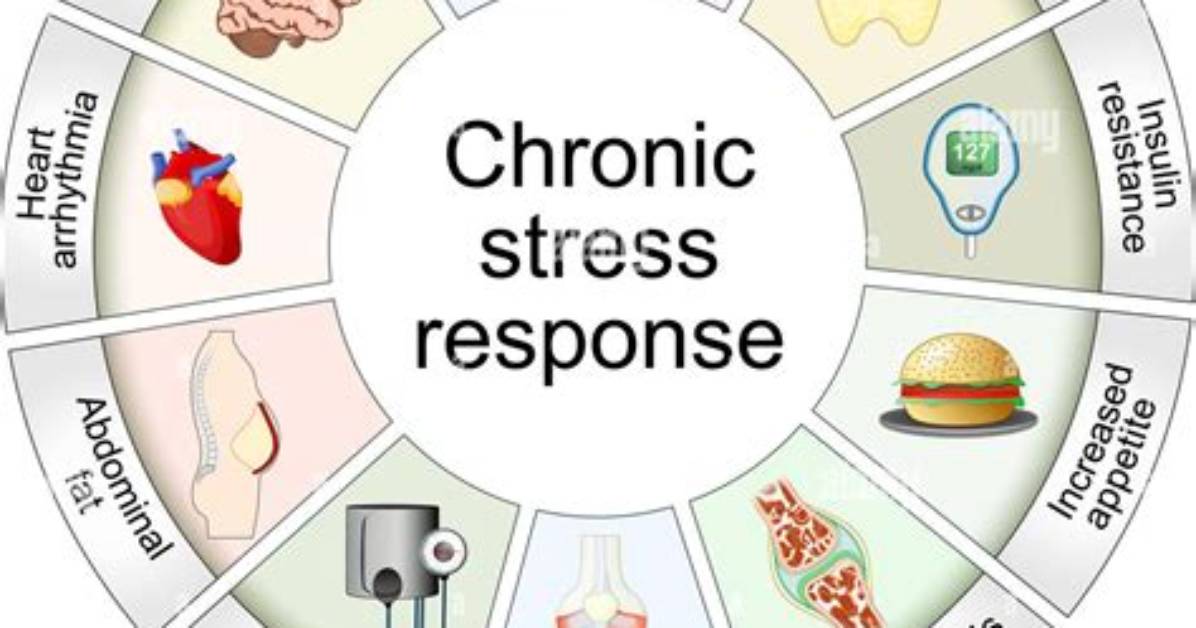 What Is a Chronic Response
