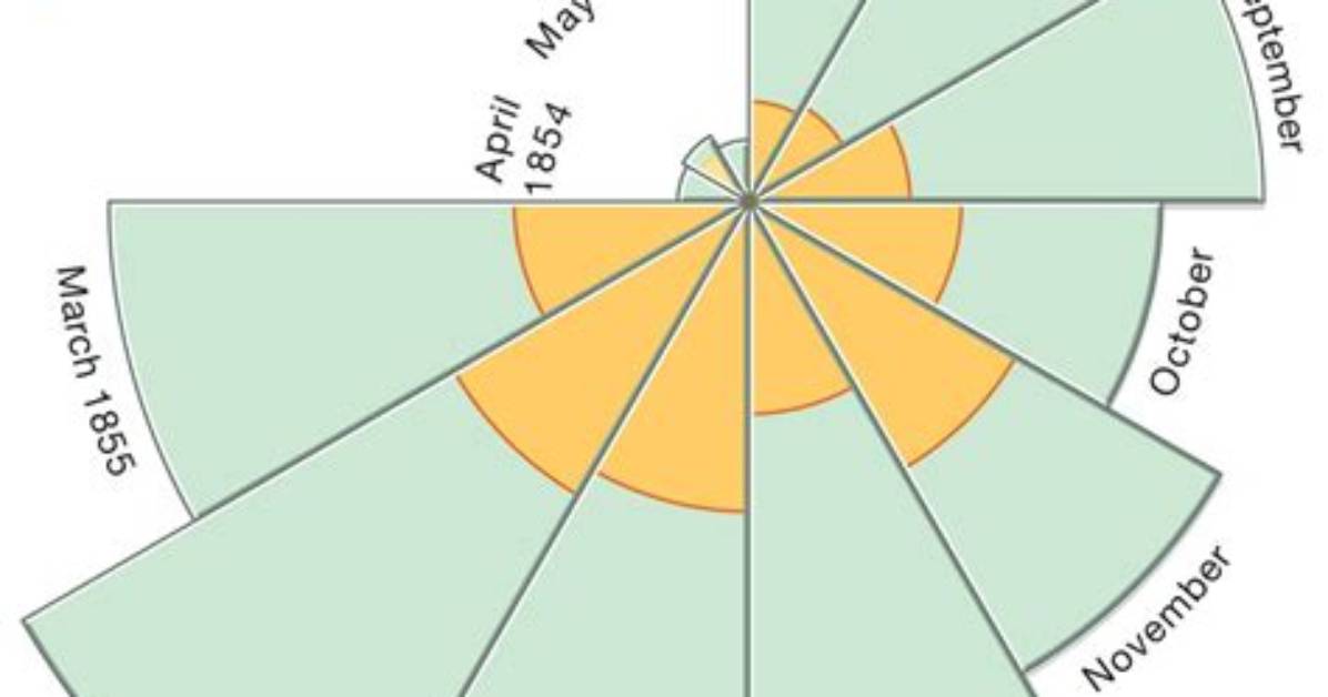 What Is a Coxcomb Chart?