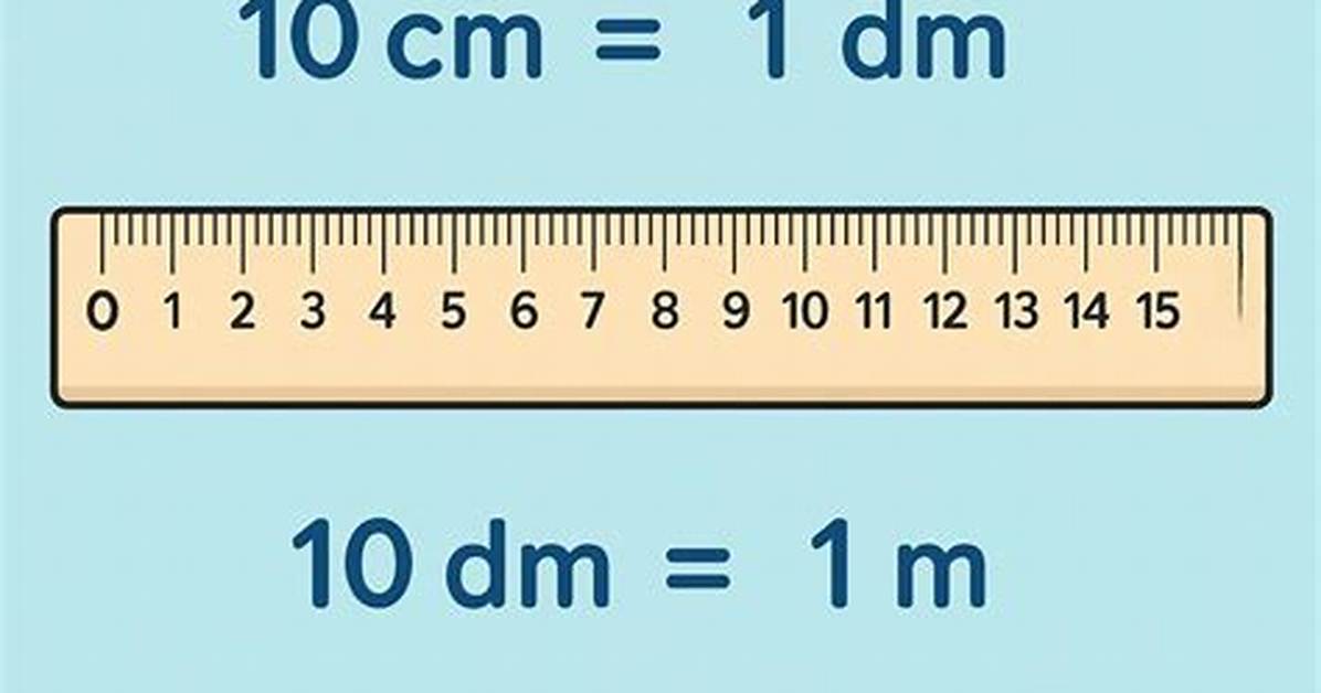 What Is a Decimeter?