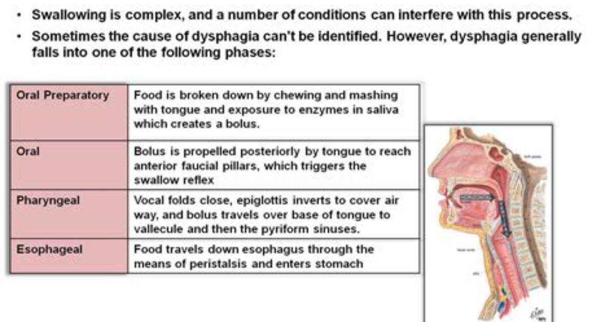 What Is a Delayed Swallow?