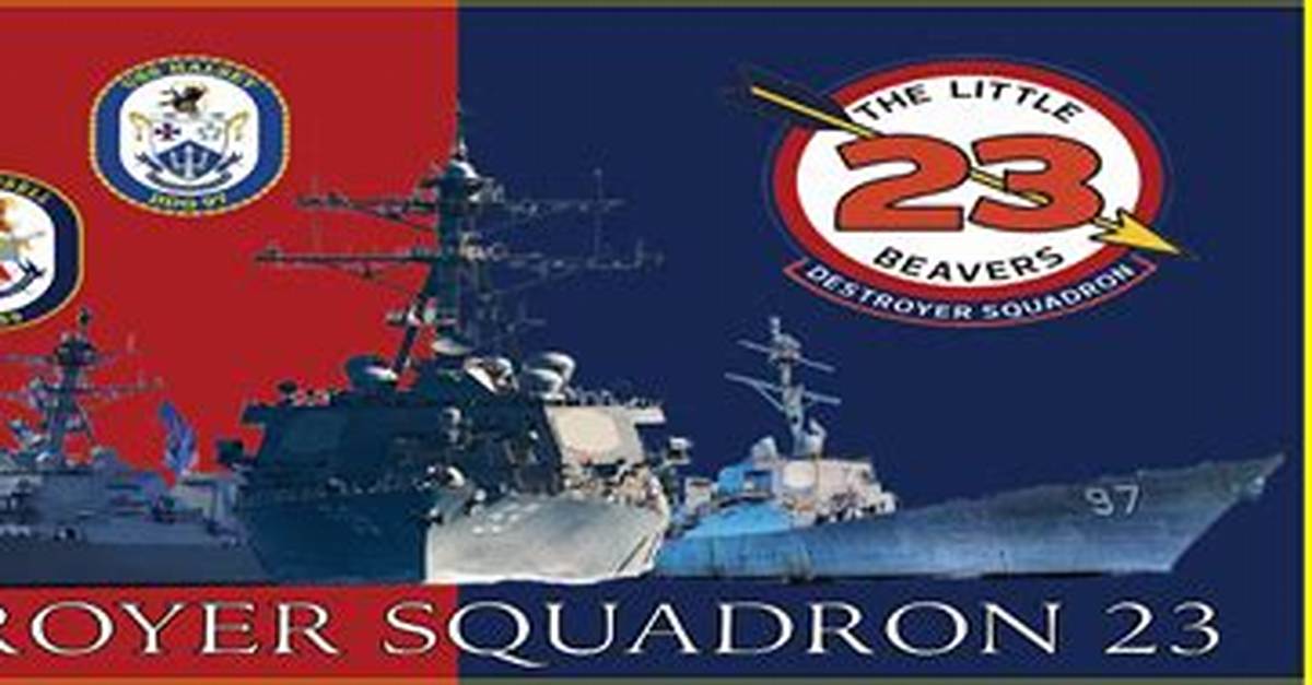 What Is a Destroyer Squadron?