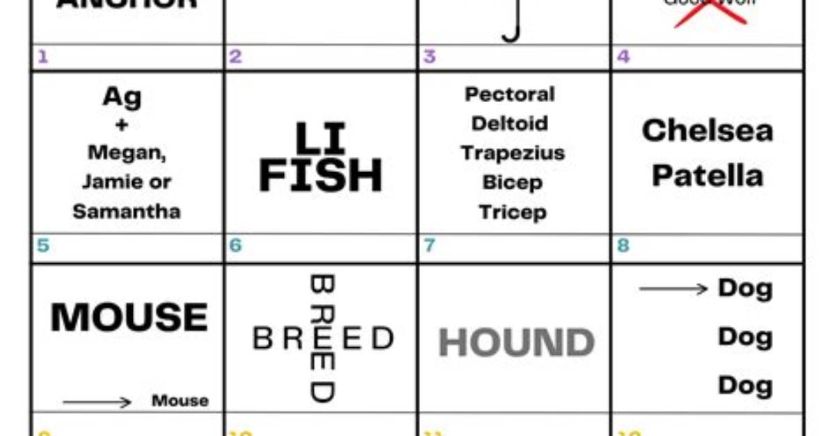 What Is a Dingbat Animal?