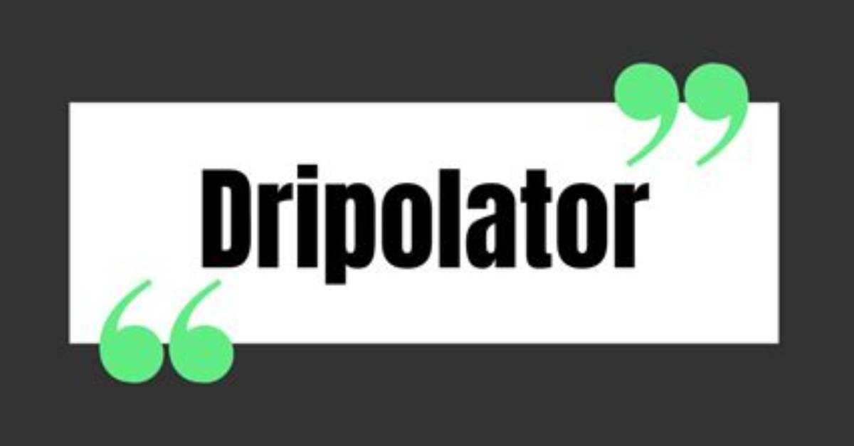 What Is a Dripolator?