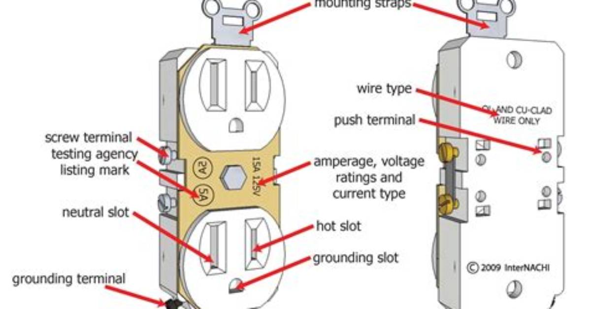 What Is a Duplex Receptacle?