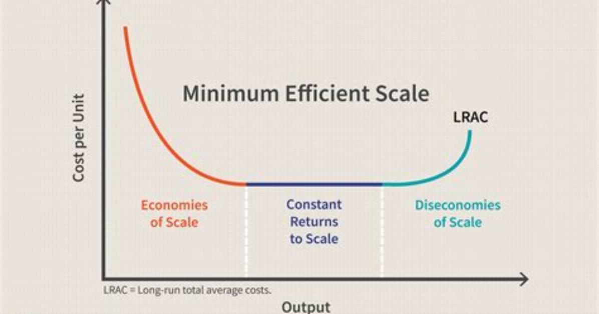 What Is a Firms Minimum Efficient Scale