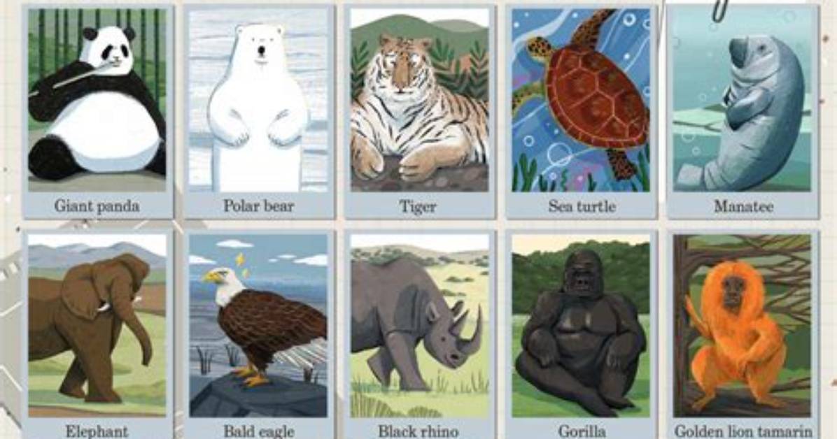 What Is a Flagship Species