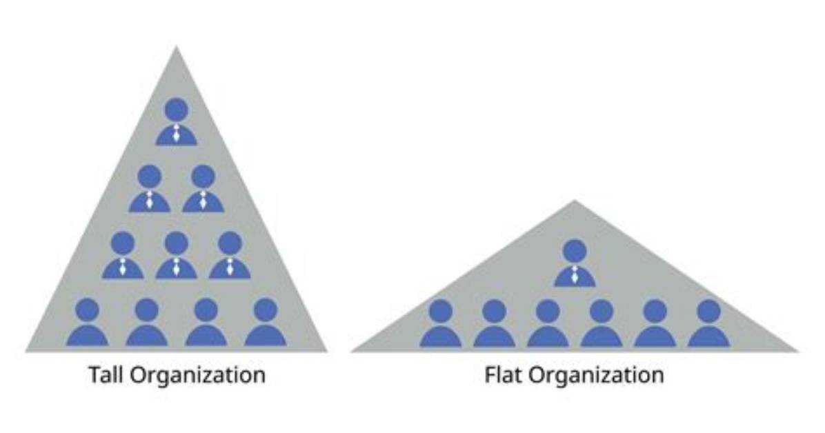 What Is a Flat and Tall Structure