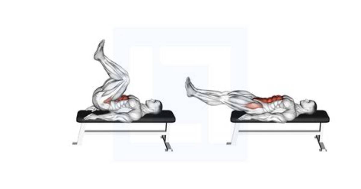 What Is a Flat Bench Leg Pull In