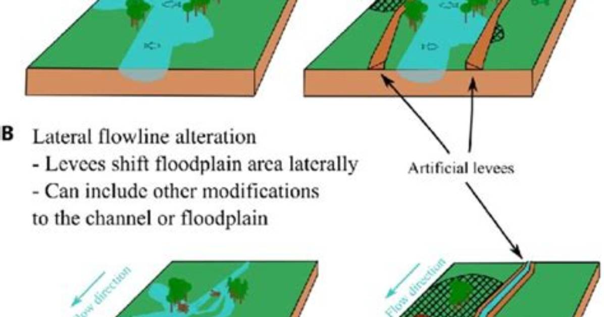 What Is a Floodplain? - Lisbd-Net. Com