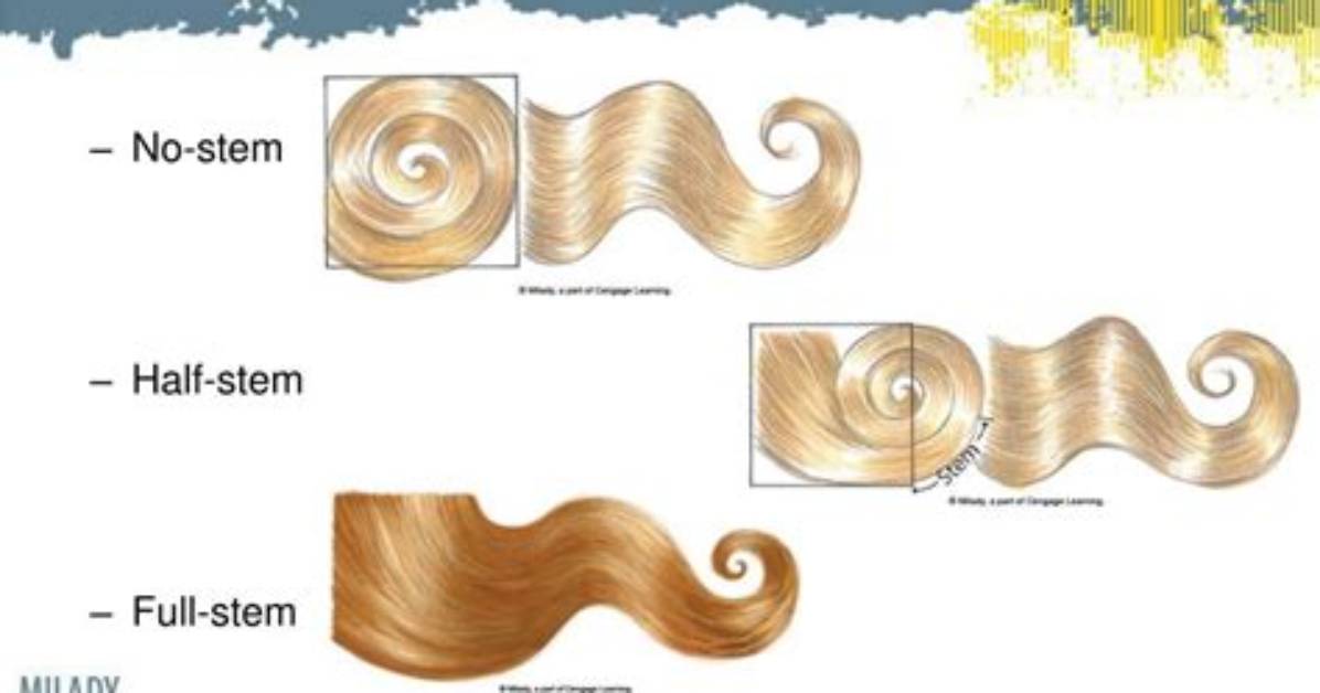 What Is a Full Stem Curl