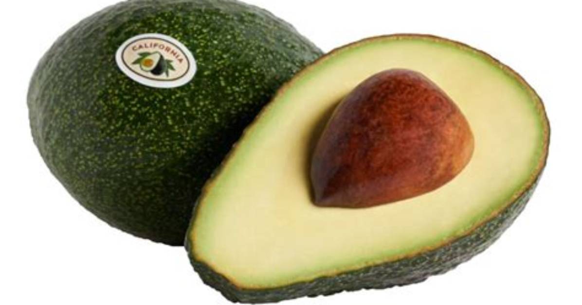 What Is a Gem Avocado
