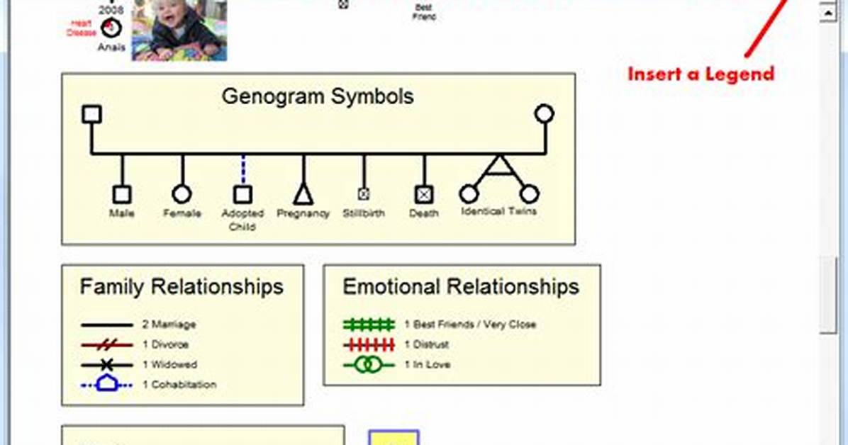 What Is a Genogram Legend
