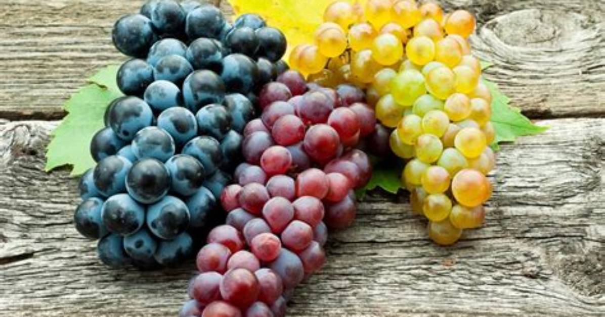 What Is a Grapes?