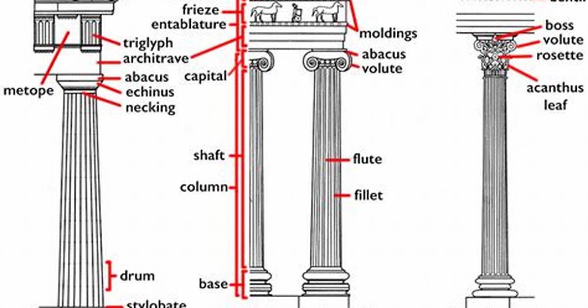 What Is a Half Column Called