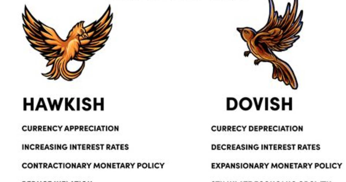 What Is a Hawkish View