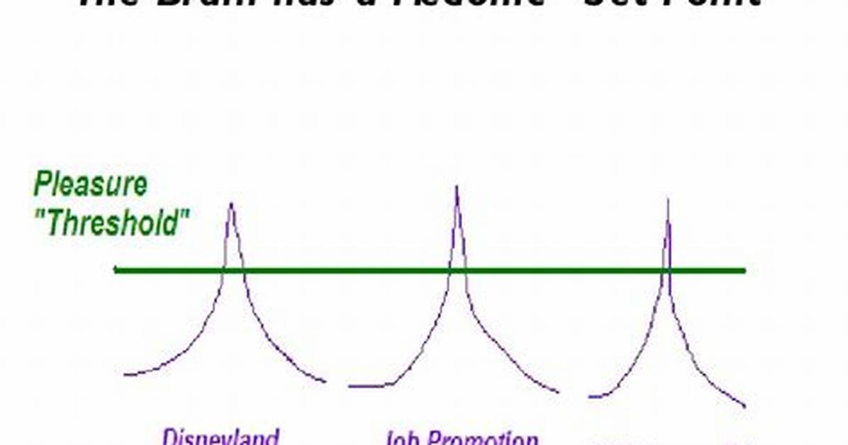 What Is a Hedonic Set Point